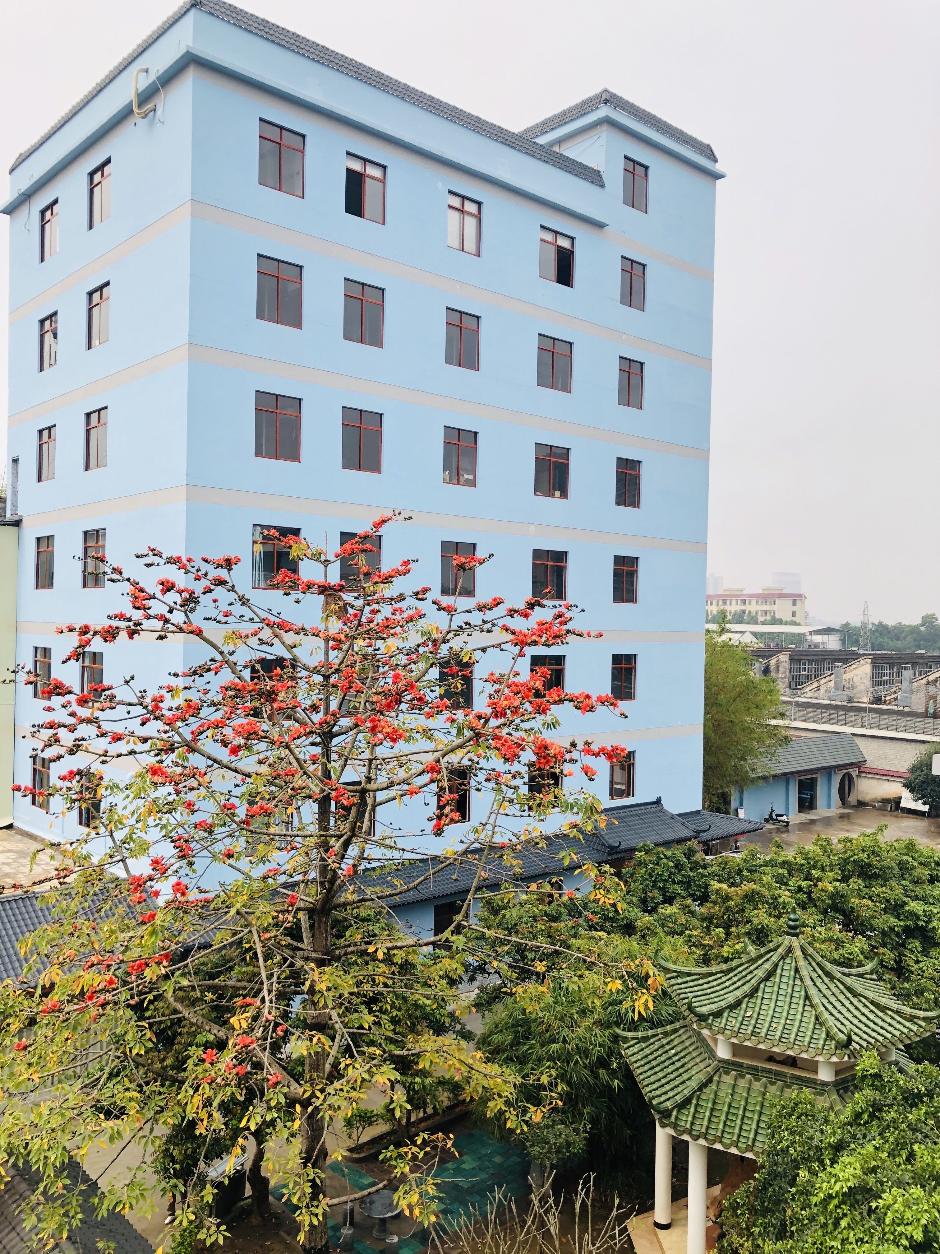 摄影大赛获奖,印象同安,获奖名单,骨科医院活动
