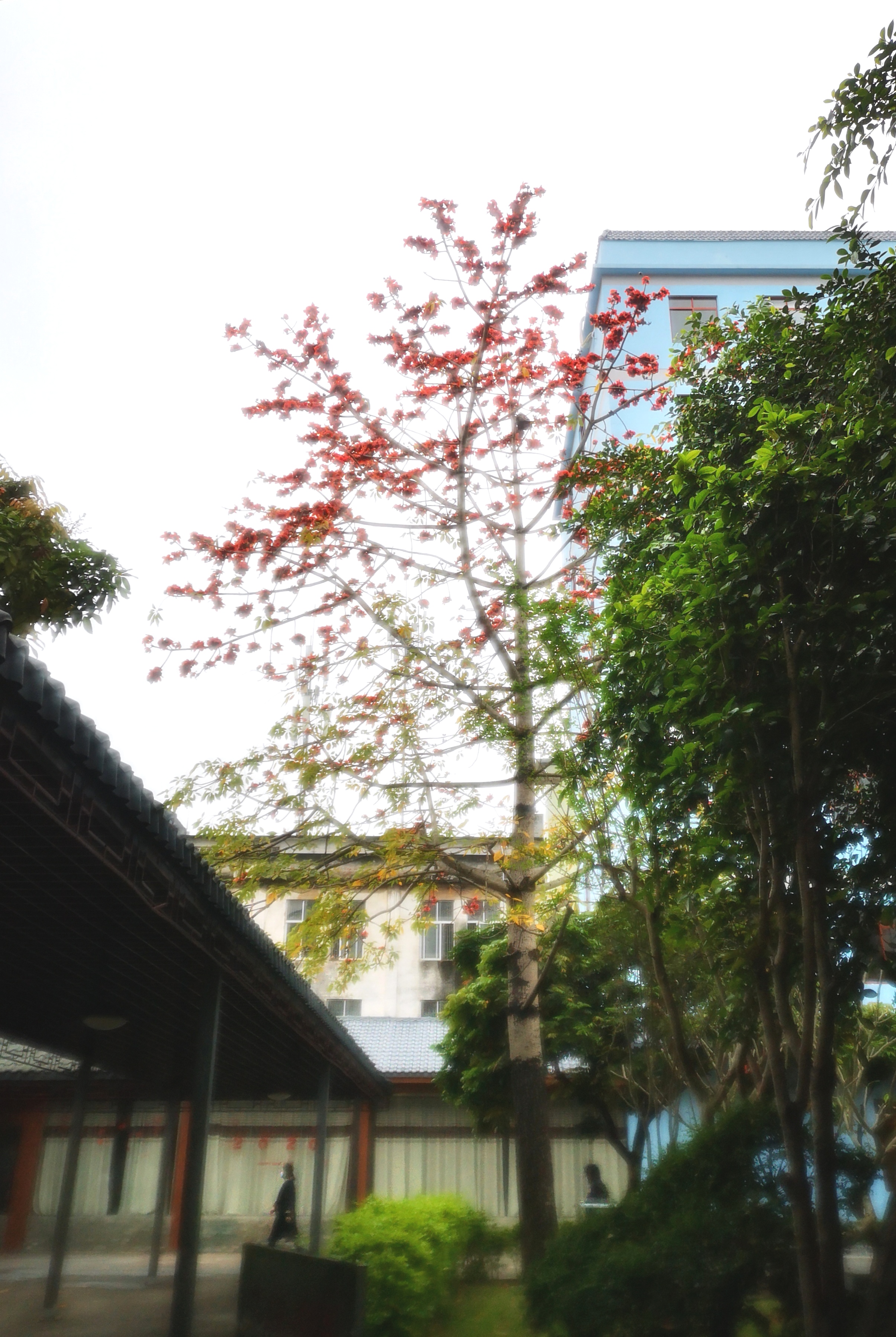 摄影大赛作品,员工摄影比赛,同安医院