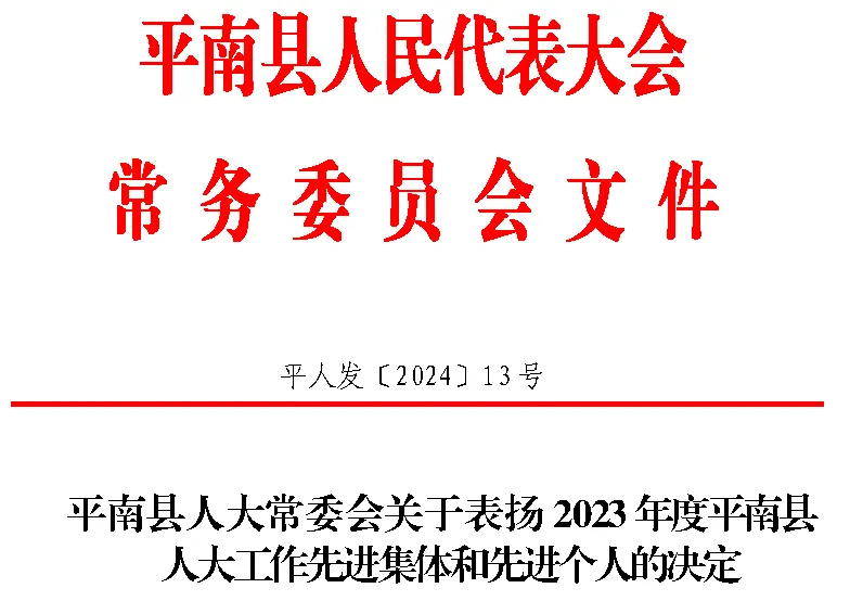 先进个人,平南骨科,人大代表