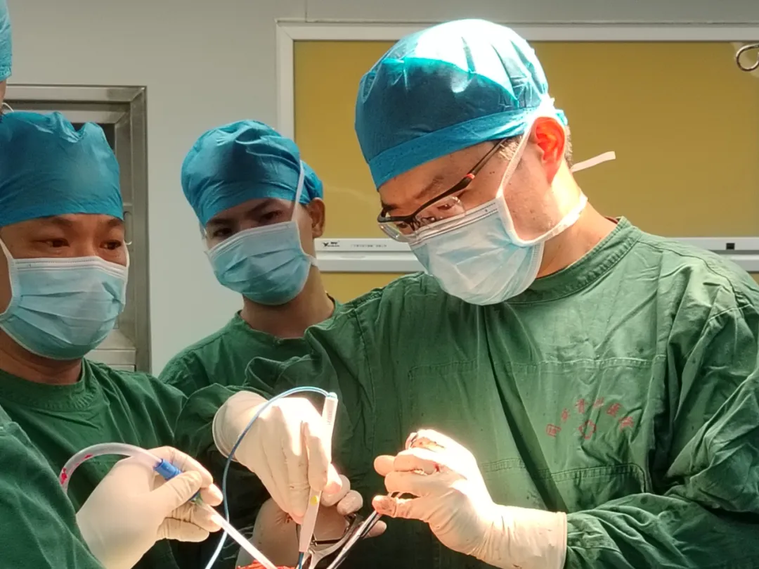 学术会,平南骨科