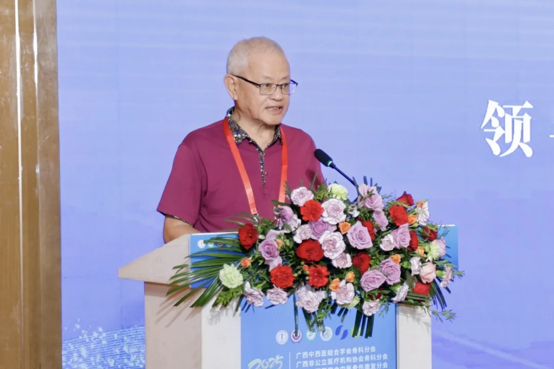 骨科学术年会,非公医疗协会,平南骨科