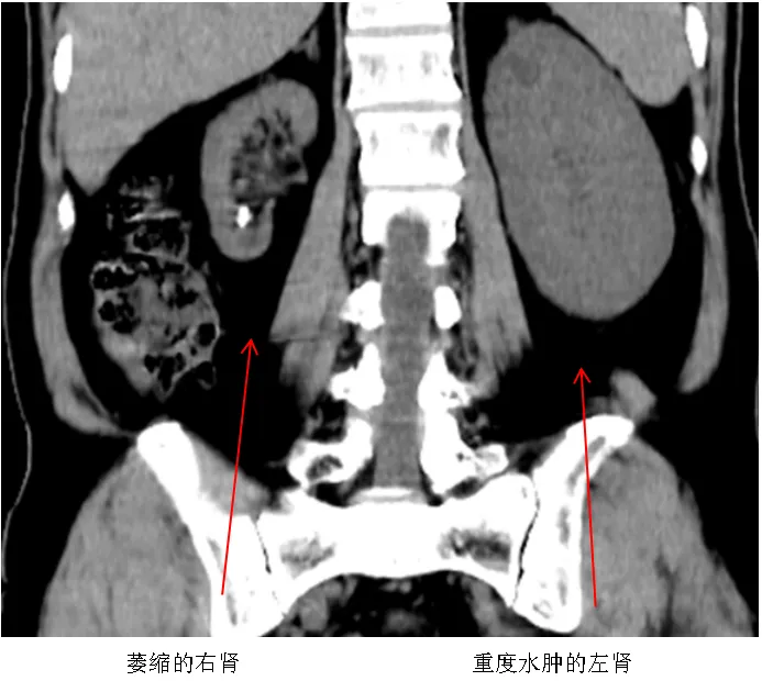 挂牌成立,开科仪式,平南骨科